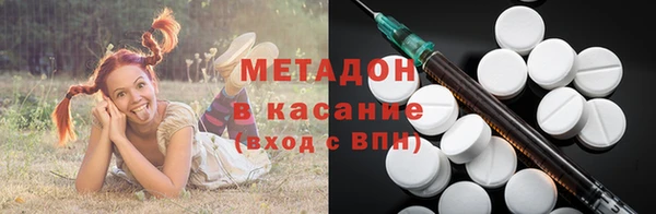 шишки Аркадак