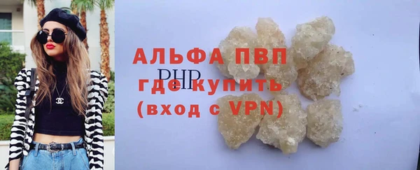 шишки Аркадак