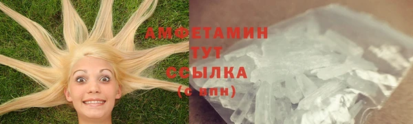 шишки Аркадак