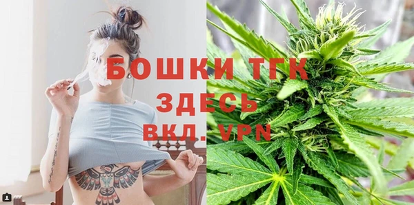шишки Аркадак