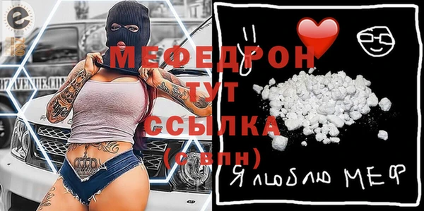 шишки Аркадак