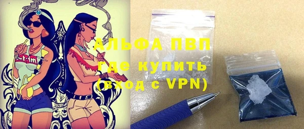 шишки Аркадак