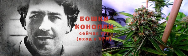 шишки Аркадак