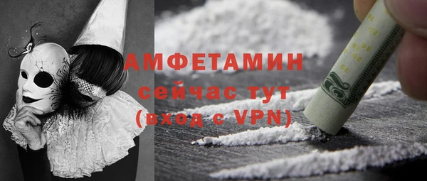 шишки Аркадак