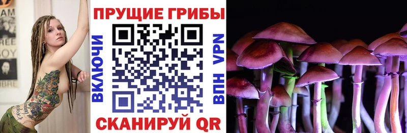 Псилоцибиновые грибы прущие грибы  Соль-Илецк 